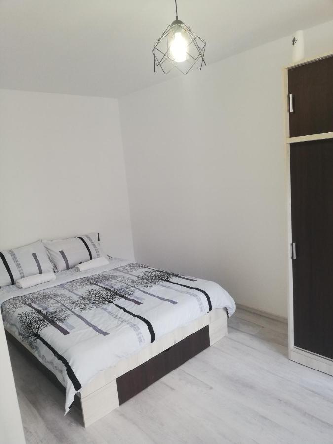 Apartament Brezoi Apartment Ngoại thất bức ảnh